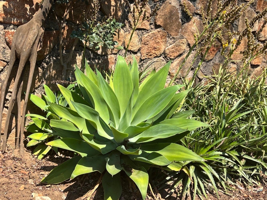 5 Bedroom Property for Sale in Elandsrand North West